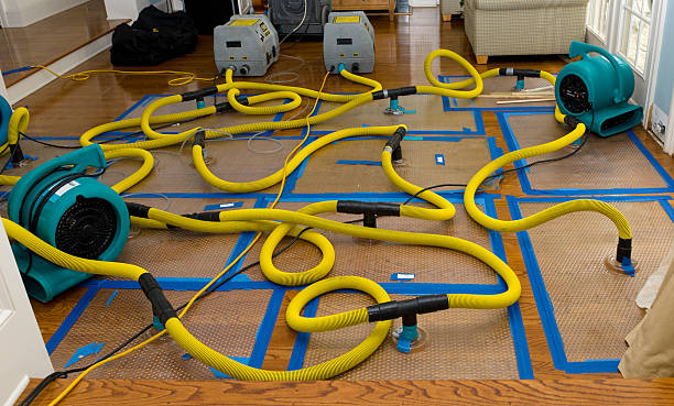 Professional Burst Pipe Water Damage technician working in Alton, NH